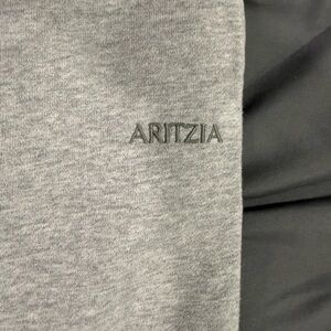 Aritzia Gray Pants